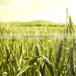 2016 China Latest Organic Fertilizer Manufacturing Plant thumbnail-3