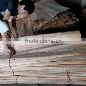 100% A Grade Eucalyptus Core Veneer Origin of Vietnam thumbnail-1