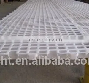 Chicken Plastic Floor thumbnail-6