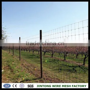 Ranch Fence Camels Livestock Fence Deer Fence Fixed Knot Fencing thumbnail-6