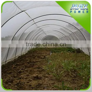 Insect Net for Lettuce Greenhouse thumbnail-1