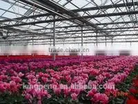 Garden Greenhouse For Flowers thumbnail-1