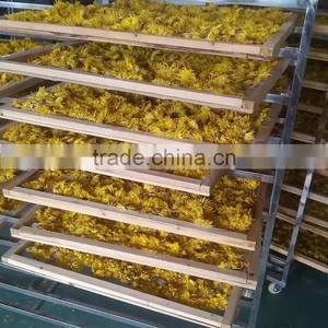 Flower Dryers / Flower Drying Machine thumbnail-4