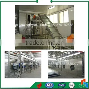 China Broccoli IQF Tunnel Industrial Freezer thumbnail-2