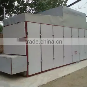 Continuous Scallion Slices Cubes Drying Machine thumbnail-2