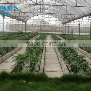 Factory Price Grenhouse For Agricultural Used thumbnail-1