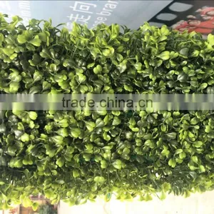 Artificial Boxwood Hedge for Sale thumbnail-4