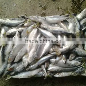 2016 Best Quality Canned Sardine From China thumbnail-2