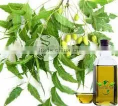 Neem Oil thumbnail-4