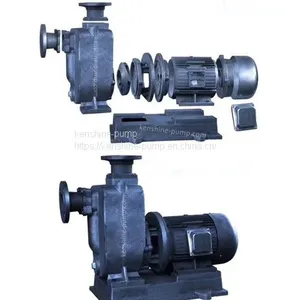 W Vortex Pump Booster Water Pump thumbnail-3