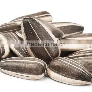 New Crop Black Melon Seeds 11cm,HIGH QUALITY, Sunflower Seed thumbnail-1