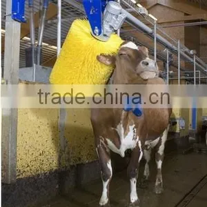 High Quality Customizd PP Material Cow Body Brush thumbnail-4