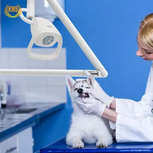 LED Wall-mount 21W Dental ENT Surgery Veterinary Medical Wall Examination Light thumbnail-4