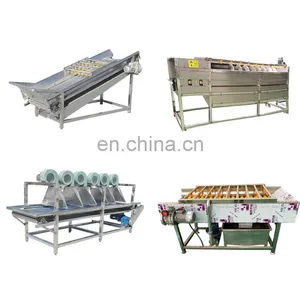 Vegetable Washing Cutting Drying Dehydrator Tray Carrot Drying Machine Cabbage Dryer thumbnail-3