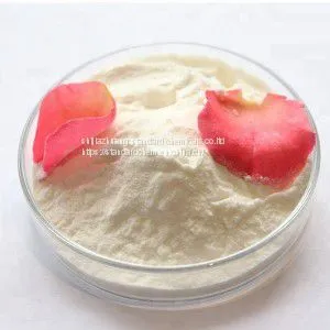 Food Additive Sweeteners Polydextrose 90% Health Sugar Polydextrose CAS 68424-04-4 thumbnail-2