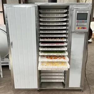 Fruit Drying Room, Papaya and Mango Drying Equipment, Hot Air Food Drying Room thumbnail-5