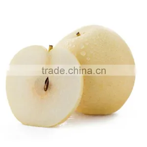 Huangguan Pear/ Crown Pear / Golden Pear thumbnail-1