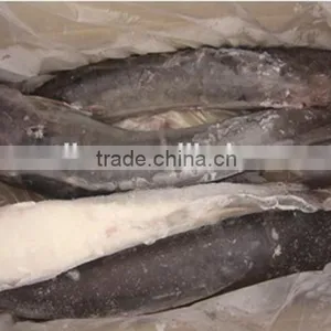 Frozen Catfish (Silurus Asotus) Fish to Africa thumbnail-2