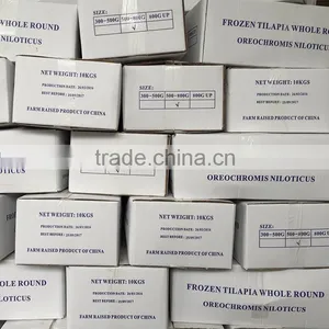 FROZEN BIG TILAPIA WHOLE ROUND HOT SALE IN AFRICA thumbnail-2