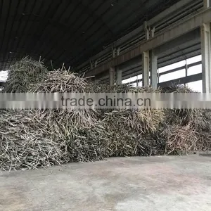 Refined Sparking White Cane Icumsa 45 Sugar 50kg Bags Soft Sugar thumbnail-6