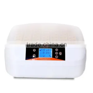 CE Marked China Alex Factory Direct Sale 12V Egg Incubator 56 Chicken Eggs Mini Incubator thumbnail-1
