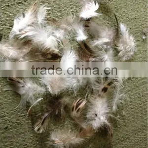 EN12934 Grey Duck Feather High Fill Power thumbnail-1
