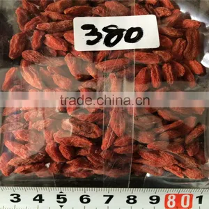 Haccp Dried Goji Berry thumbnail-1