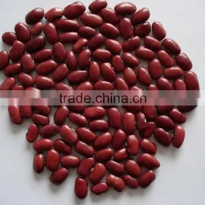 Red Kidney Beans thumbnail-1