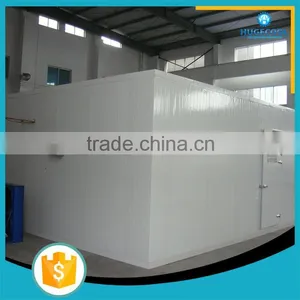 20 Years Experience Cold Storage Cold Room Equipment Price thumbnail-2