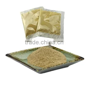 Kosher Certified Factory Supply Pure Natural Ginger Extract Powder thumbnail-1