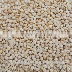 Hulled Sesame Seed thumbnail-6