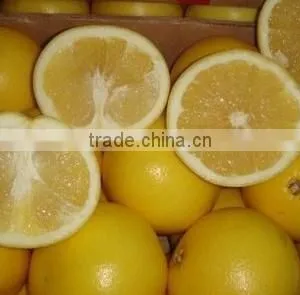 FRESH GRAPEFRUIT thumbnail-1