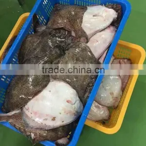 Frozen Marble Sole Fish thumbnail-2