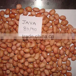 PEANUTS KERNEL JAVA thumbnail-3