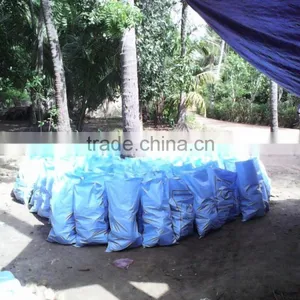 Semi Husked Coconuts From Tamilnadu thumbnail-4