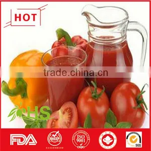 Sweet and Sour Tomato Paste thumbnail-2