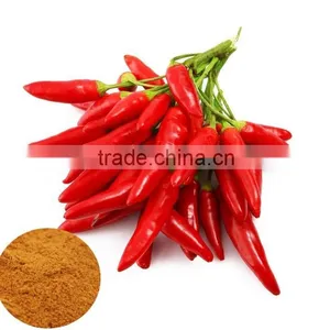 Red Chilli Pepper Powder thumbnail-1