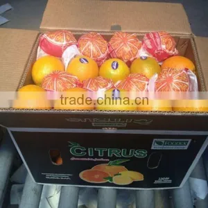 Navel Oranges (Seedless Orange) thumbnail-1