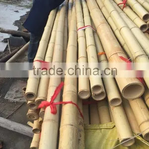 Cheap Raw Bamboo Poles thumbnail-1