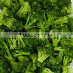 New 2015 Dried Broccoli Best Selling Products in Philippines thumbnail-3
