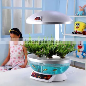 Large Commercial Fish Tanks thumbnail-5