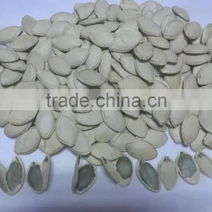 Whole Sale Pumpkin Seeds in Shell thumbnail-1