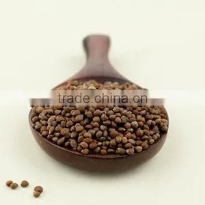 GMP Certified Organic Perilla Seed Oil Top Quality thumbnail-4