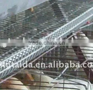 High Quality Design Layer Chicken Cages for Kenya Poultry Farm ( Full Poultry Equipment) thumbnail-1