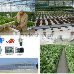 Hydroponic Systems for Greenhouses thumbnail-3