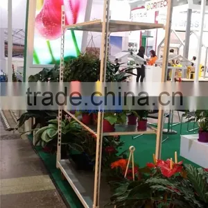 144 PLYwood for Retail Containers, PLYwood for European Flower Trolley, PLYwood for Pot Plant Trolley thumbnail-2