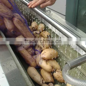 TW-1500A Potato Cleaning Peeling Machine thumbnail-3