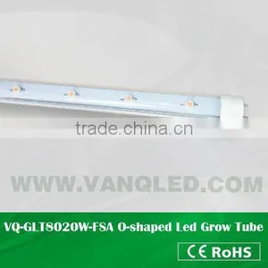 VANQLED G13 Led Grow Lamp Tube for Plant Factory With CE,RoHS Approved,one-end Plug Connecting thumbnail-4