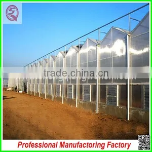 Large and Practical PC Sheet Multi-span Greenhouse With Professional Manufacturer thumbnail-2
