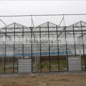Flower With Glass Greenhouse thumbnail-1